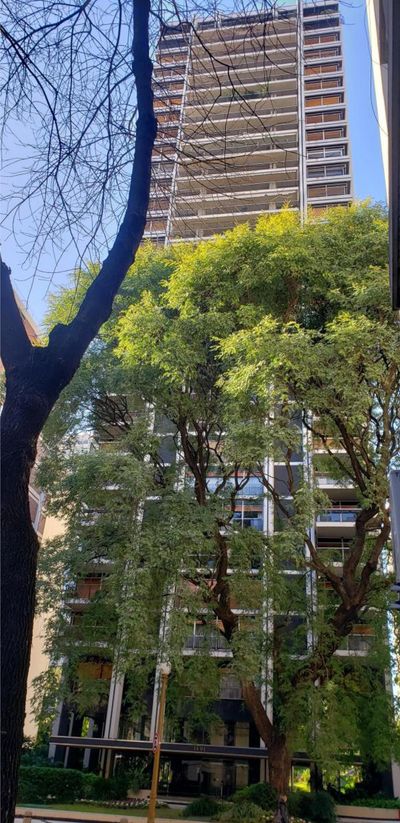 Av. Alvear y Parera, Recoleta, Capital Federal — foto 17