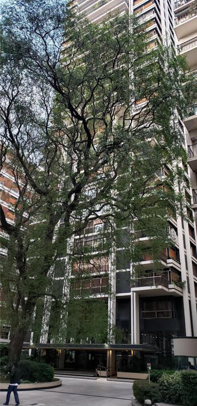 Av. ALVEAR y Parera, Recoleta, Capital Federal — foto 10