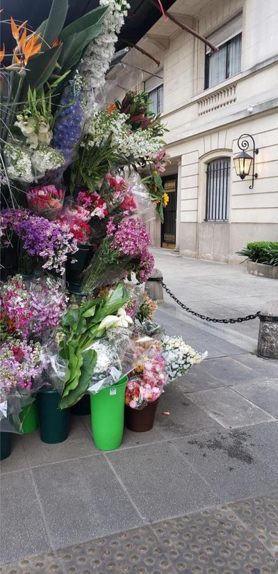 Av. ALVEAR y Parera, Recoleta, Capital Federal — foto 11