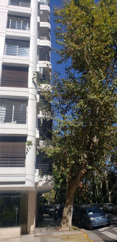 Vista única, piso en Cerviño y República de la India, Palermo Chico — foto 16
