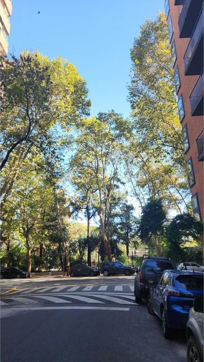 Gutiérrez y República de la India, Palermo Chico, Palermo — foto 22