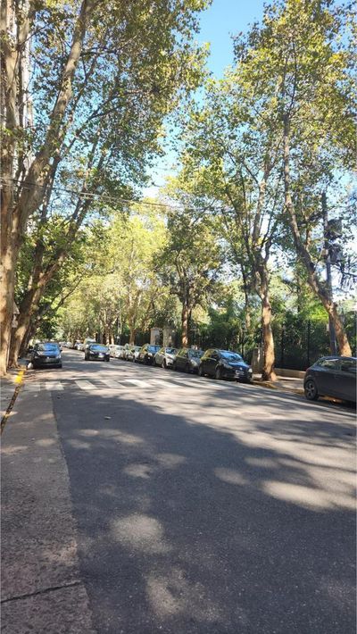 Gutiérrez y República de la India, Palermo Chico, Palermo — foto 24