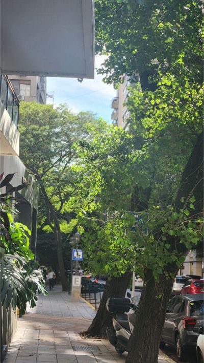 Libertad & Av. Alvear, Recoleta, Capital Federal — foto 20