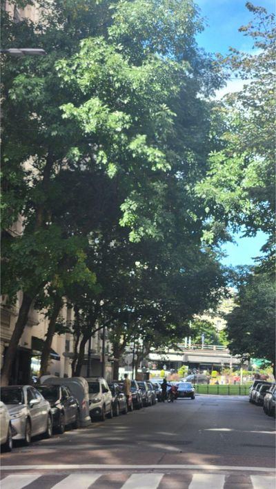 Libertad & Av. Alvear, Recoleta, Capital Federal — foto 21