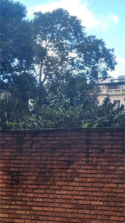 Libertad y Av. Alvear, Recoleta, Capital Federal — foto 25