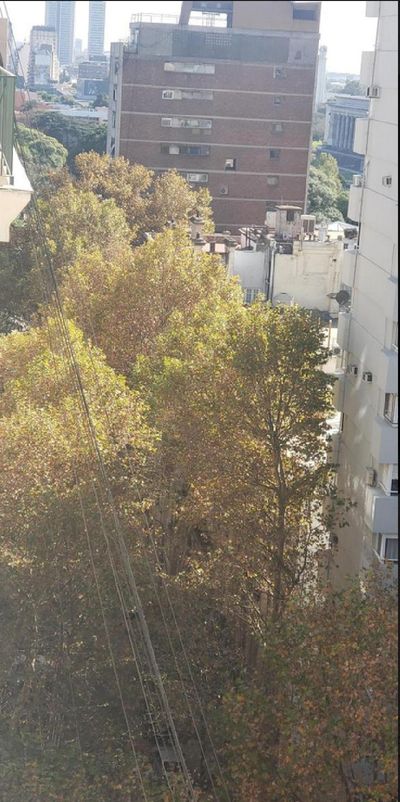 Posadas y Ayacucho, Recoleta, Capital Federal — foto 12