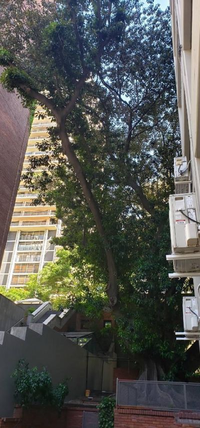 POSADAS y Montevideo, Recoleta, Capital Federal — foto 17