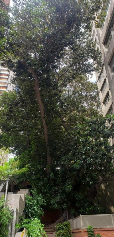 Posadas y Montevideo, Recoleta, Capital Federal — foto 11
