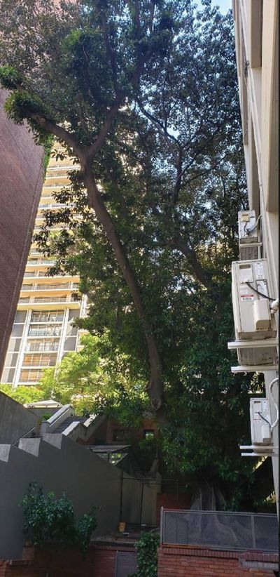 Posadas y Motevideo, Recoleta, Capital Federal — foto 18