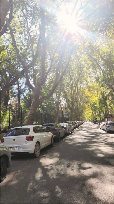 República de la India y Cerviño, Palermo Chico, Palermo — foto 21