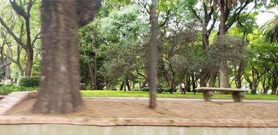 Santa Fé y Maipú, Puerto Retiro, Retiro — foto 11