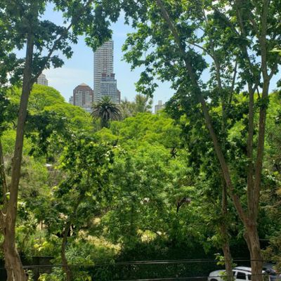 Vista única, piso en Cerviño y República de la India, Palermo Chico — foto 25