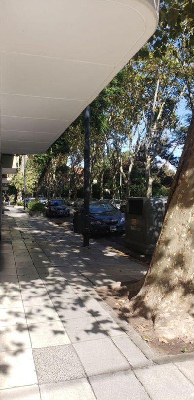 Vista única, piso en Cerviño y República de la India, Palermo Chico — foto 16