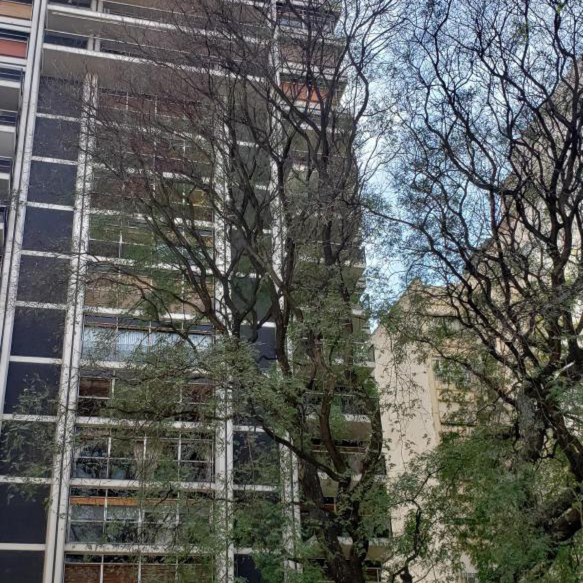 Av. Alvear y Parera, Recoleta, Capital Federal